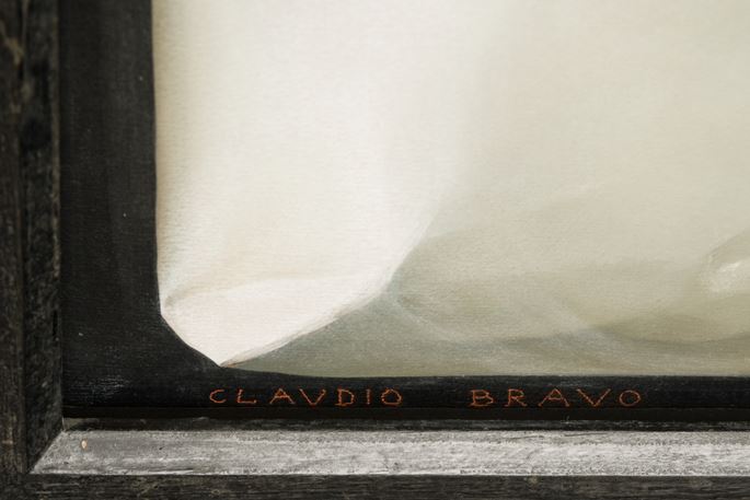 Claudio BRAVO - Mystic Package | MasterArt